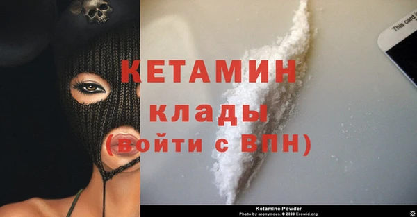 стафф Касимов