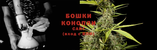 стафф Касимов