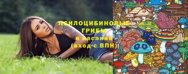 гидропоника Карпинск