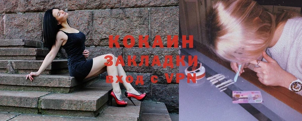 стафф Касимов