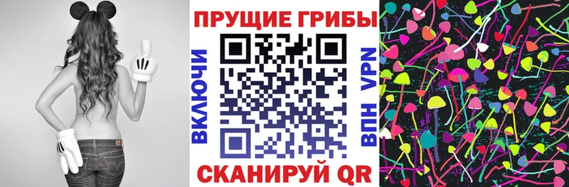 Купить  Тотьма  Псилоцибиновые грибы прущие грибы 